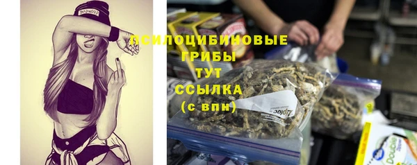 COCAINE Бородино