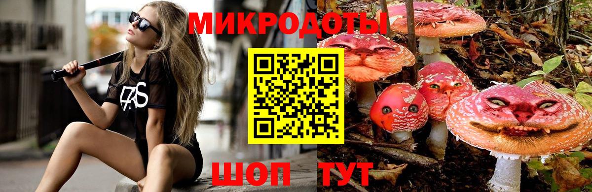 Псилоцибиновые грибы мицелий  Вход с VPN  Прокопьевск 